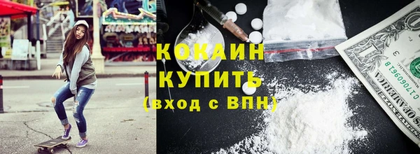 дживик Осинники