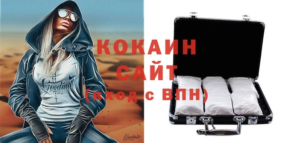 дживик Осинники