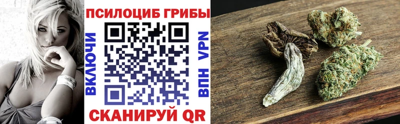 Псилоцибиновые грибы Cubensis Суровикино