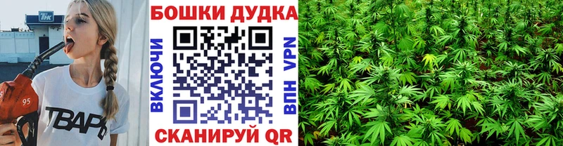Каннабис OG Kush  ссылка на мегу как зайти  Суровикино 